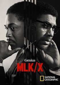 Genius poster