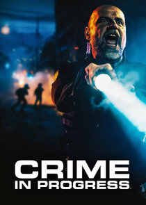 Crime in Progress poster