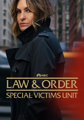 Law & Order: Special Victims Unit poster