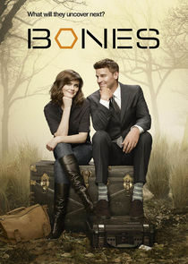 Bones poster