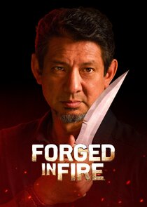 Forged in Fire poster