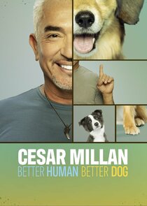 Cesar Millan: Better Human Better Dog poster