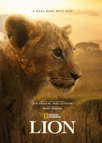 LION poster
