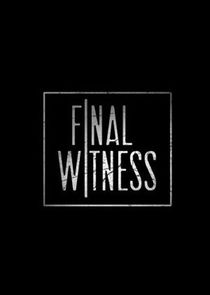 Final Witness poster