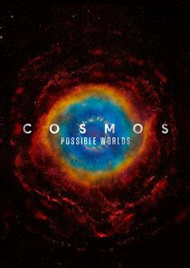 Cosmos poster