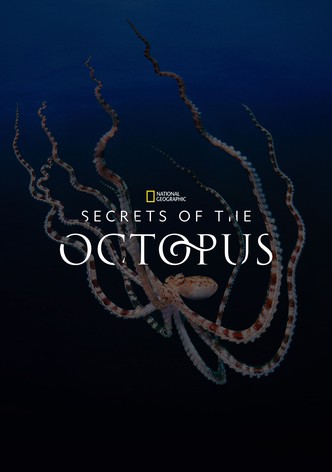 Secrets of the Octopus poster