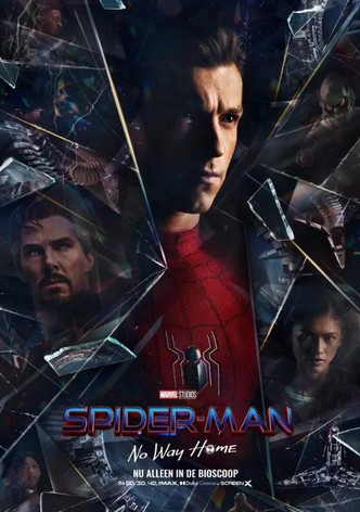 Spider-Man: No Way Home poster